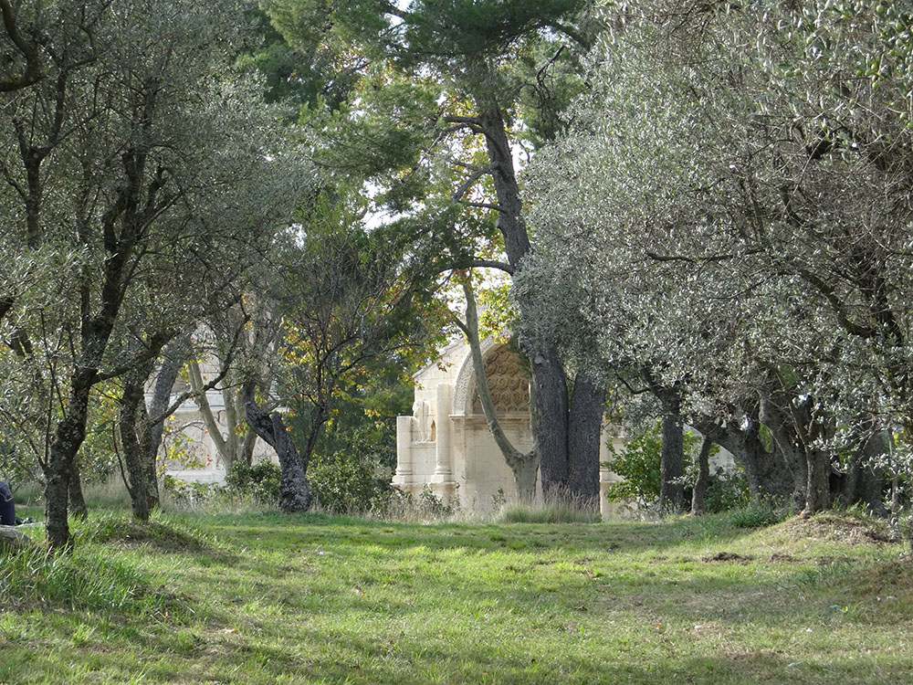 the good arles glanum saint remy de provence