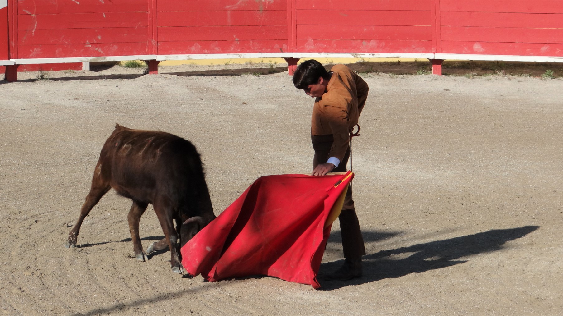 espace toros Arles