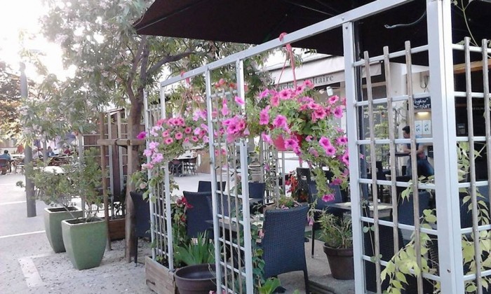 ingénu restaurant arles