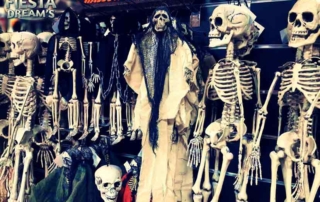 FIESTA DREAMS EYGUIERES ALPILLES