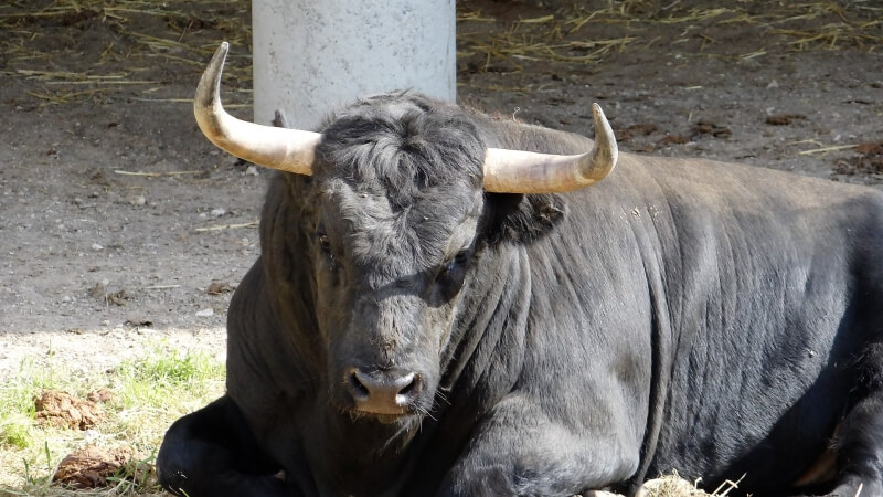 feria d'Arles PAques 2019