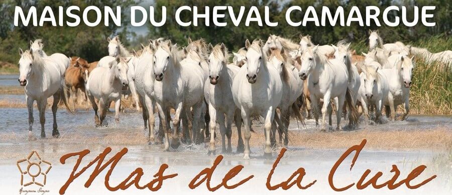 Camagri 2019 le salon du cheval Camargue au mas de la Cure