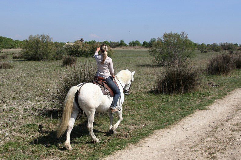 Fête de la Nature 2018 arles camargue aux Marais du Vigueirat