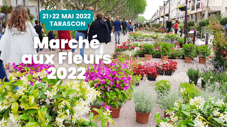 Marché aux Fleurs 2022 à Tarascon