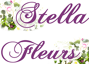 fleuriste stella fleurs arles
