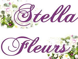 fleuriste stella fleurs arles