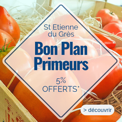 primeurs légumes du grès bon plan alpilles