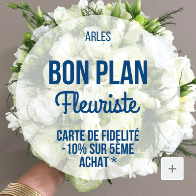Bon plan Stella Fleurs Arles