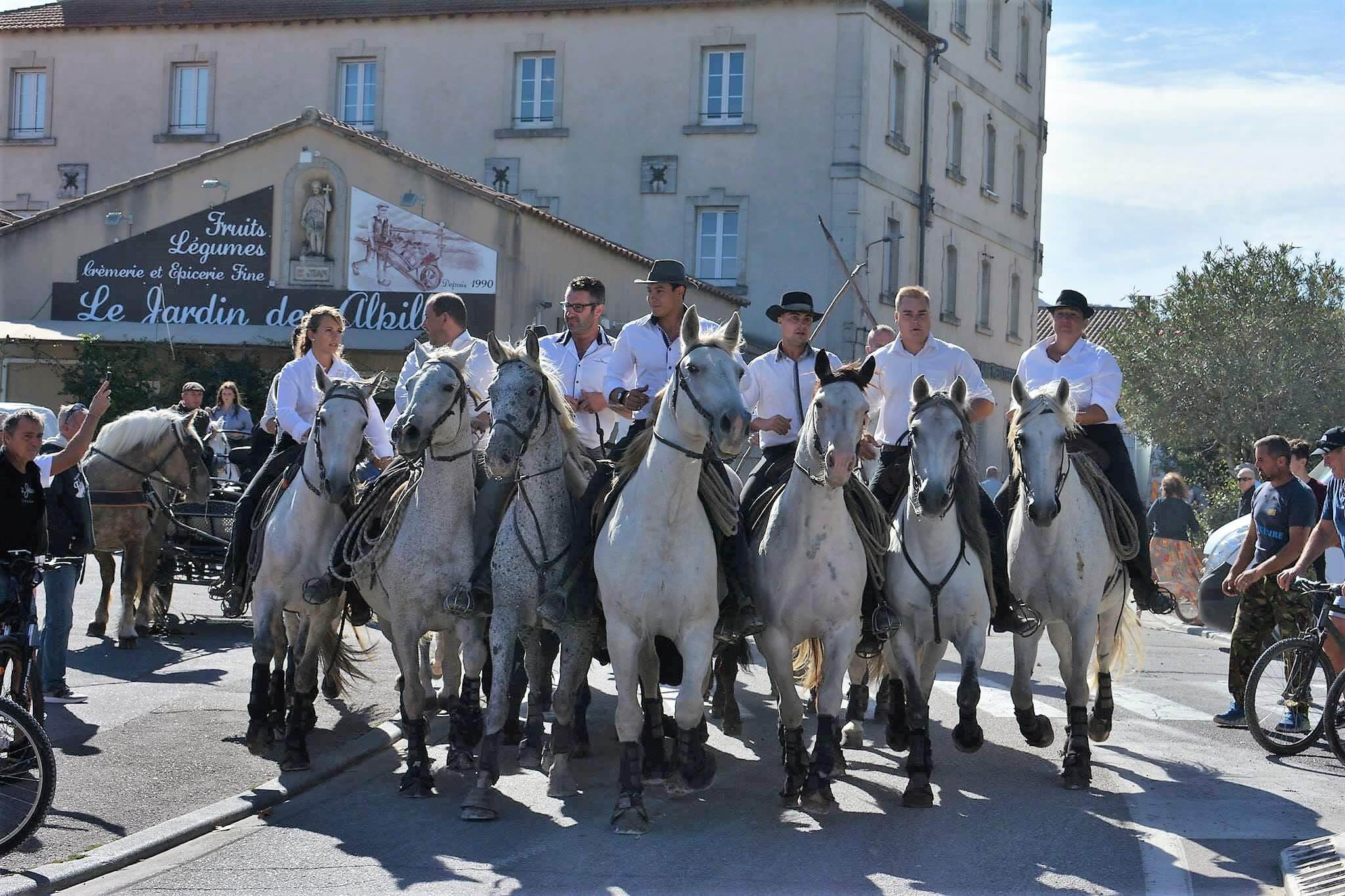 fêtes votives saint rémy de provence