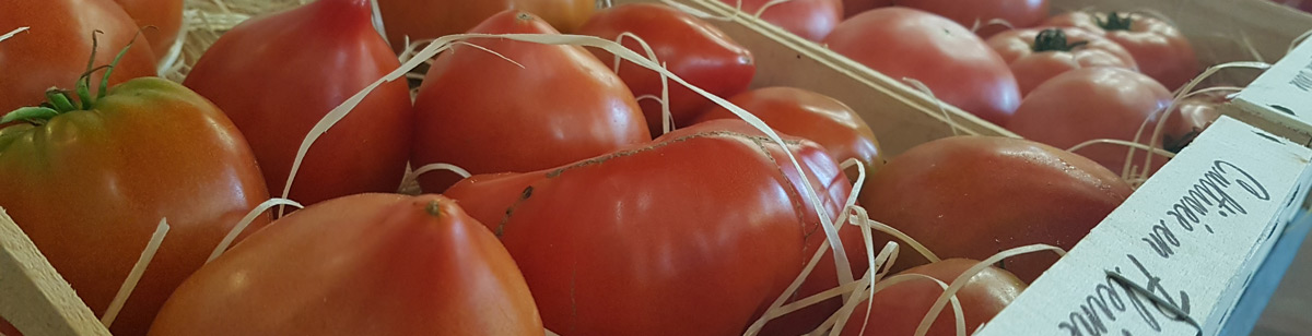 primeurs légumes du grès alpilles