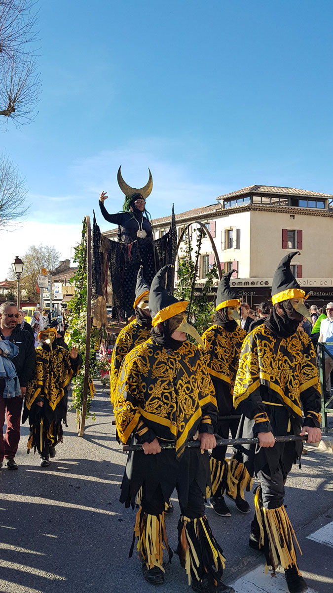 carnaval saint rémy de provence