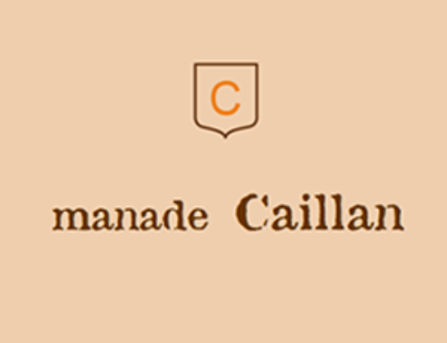 Manade Caillan, élevage taureaux AOP et salle de réception à St Rémy de Pce