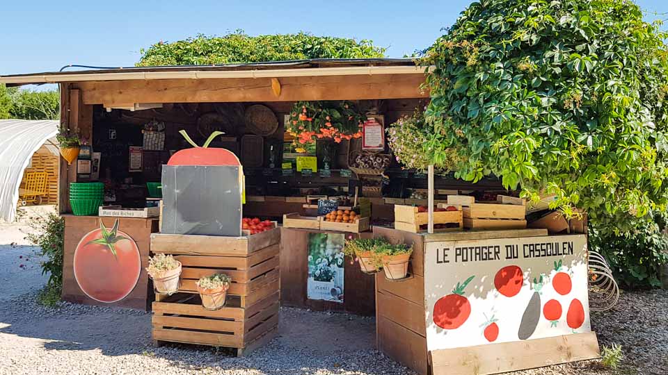 producteur légumes maillane Graveson - Le potager du Cassoulen