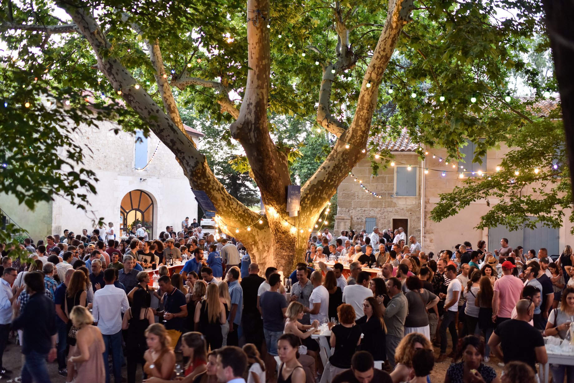 soiree vin musique arles camargue mas de valeriole