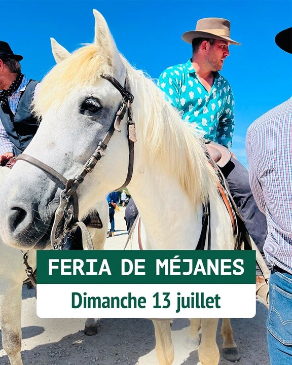 Féria du Cheval 2025 de Méjanes