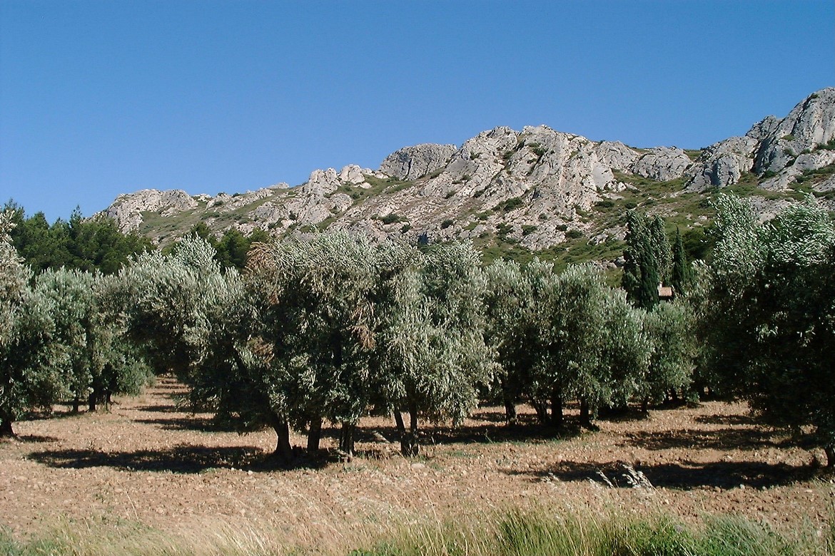 Paradou Alpilles