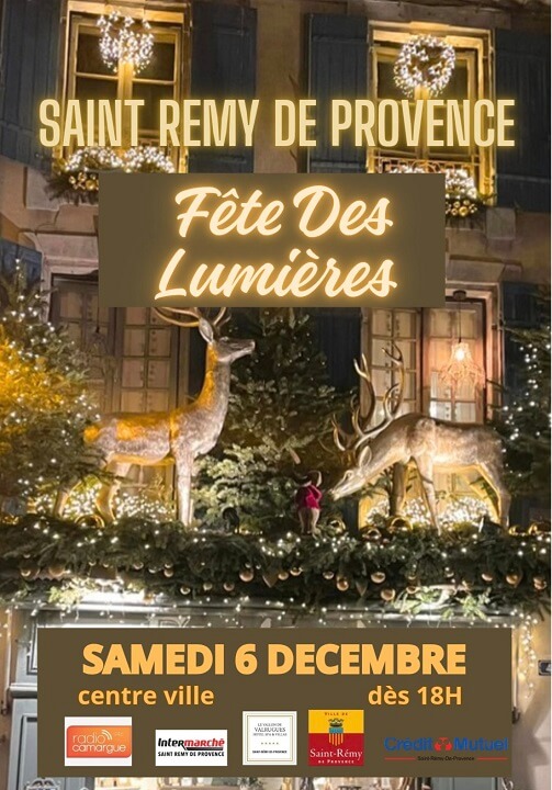 Fêtes des Lumières 2025 à Saint Rémy de Provence