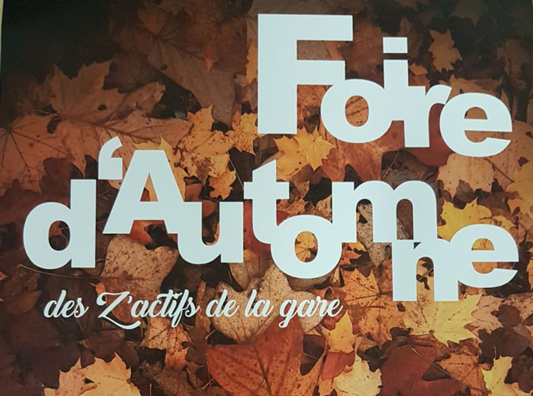 foire d'automne à saint rémy de provence