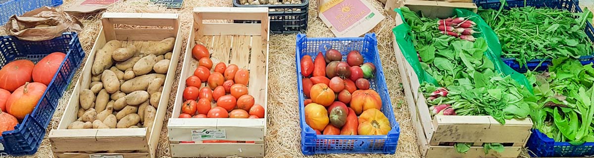 producteur et vente directe fruits et légumes bio alpilles, AMAP Les Jardins de Cidamos à Fontvieille