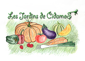 producteur vente directe fruits et légumes bio alpilles