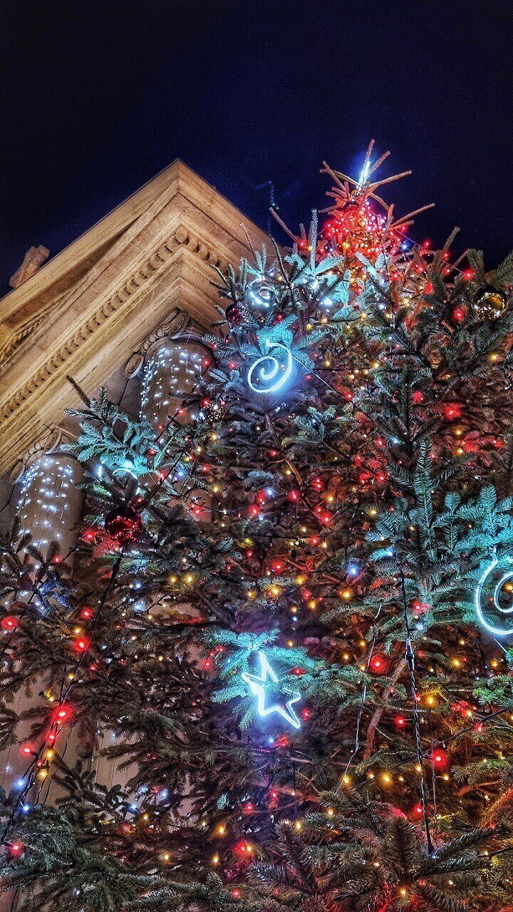 Sapin de Noël devant l'église de Saint Rémy de Provence pendant la Fête des Lumières