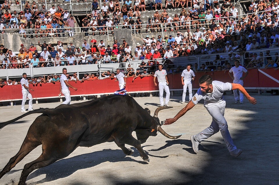 Cocarde d'or et Finale du Trophée des As aux arènes d'Arles