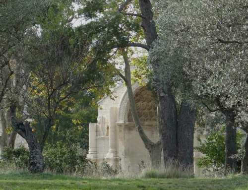 Dans les pas de Van Gogh à Arles et dans les Alpilles