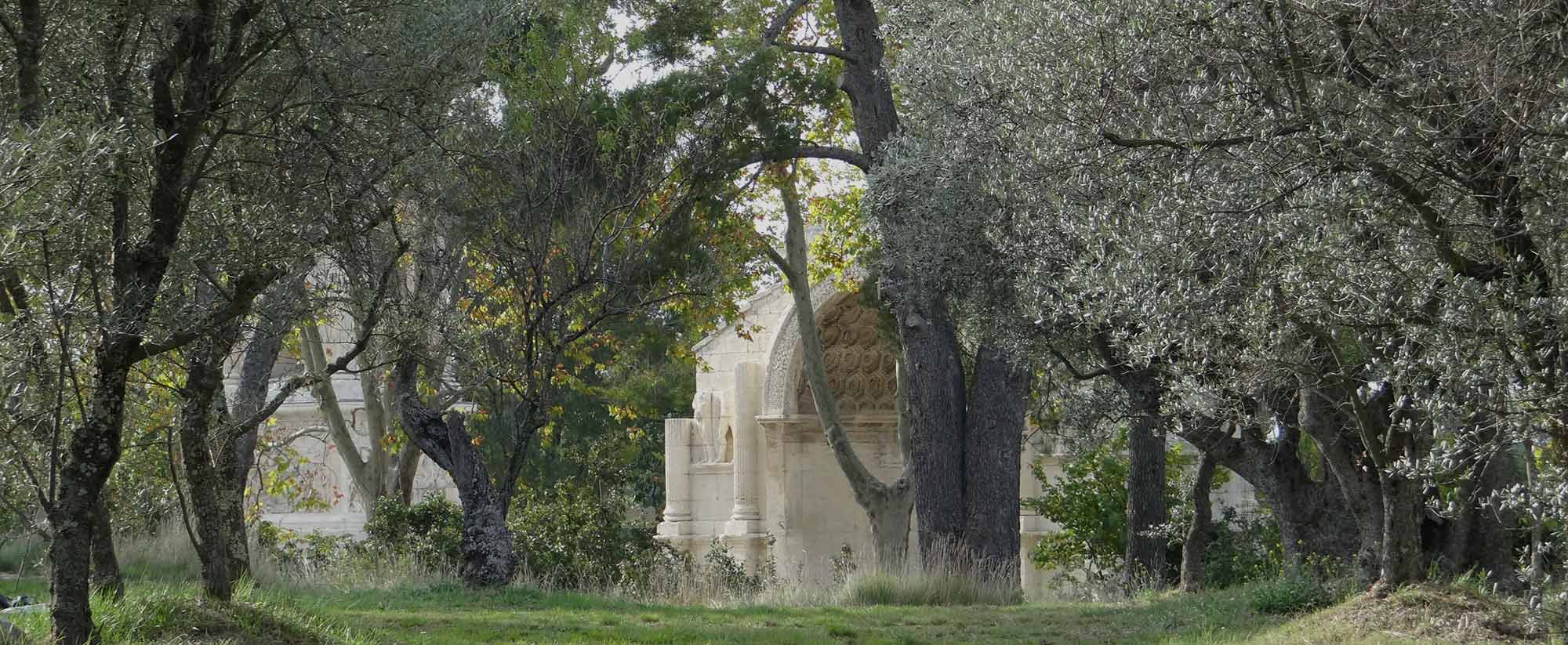 thegoodarles_lesantiquessaintremydeprovence2 Oliviers à Saint Paul à Saint Saint Rémy de Provence Alpilles