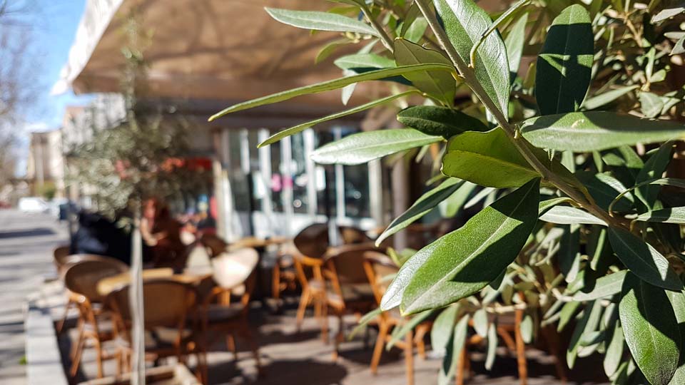 café brasserie avec terrasse à Arles - Le Wilson