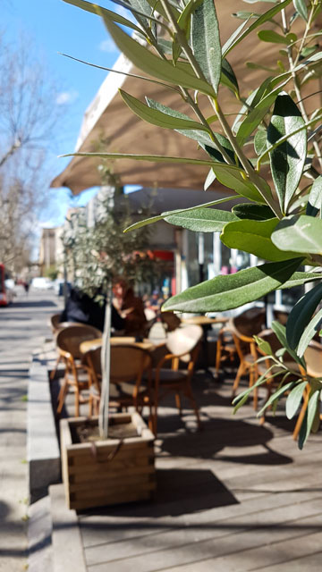 café brasserie avec terrasse à Arles - Le Wilson