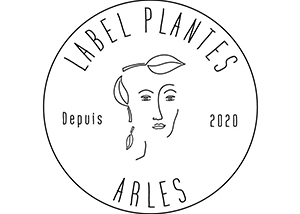 Herboristerie et épicerie du bien-être à Arles - boutique Label Plantes