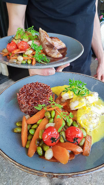 Restaurant avec terrasse vegetalisée à Maillane - Le Café du Soleil