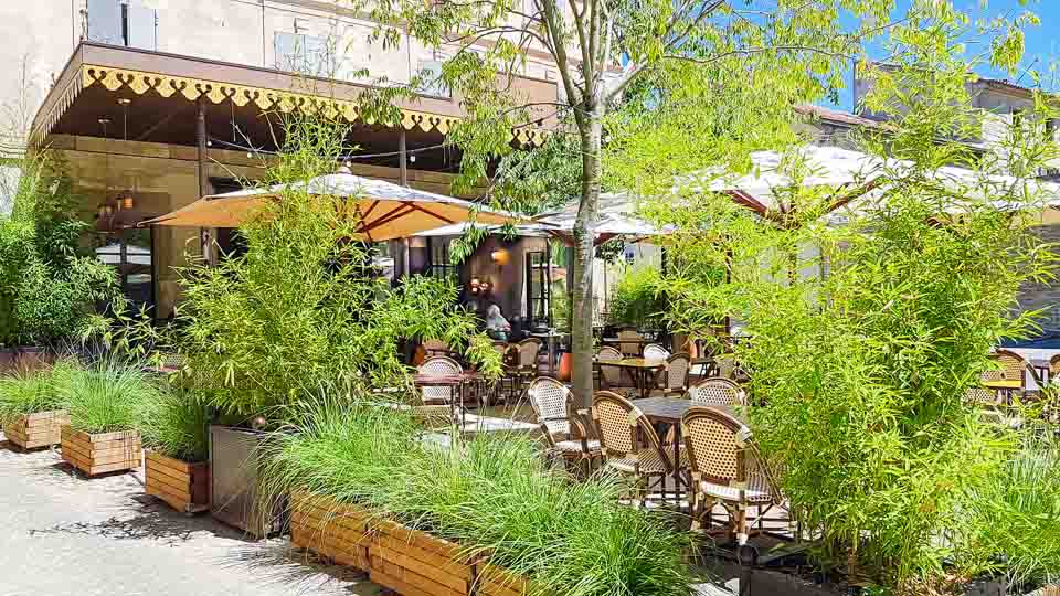 Restaurant avec terrasse vegetalisée à Maillane - Le Café du Soleil