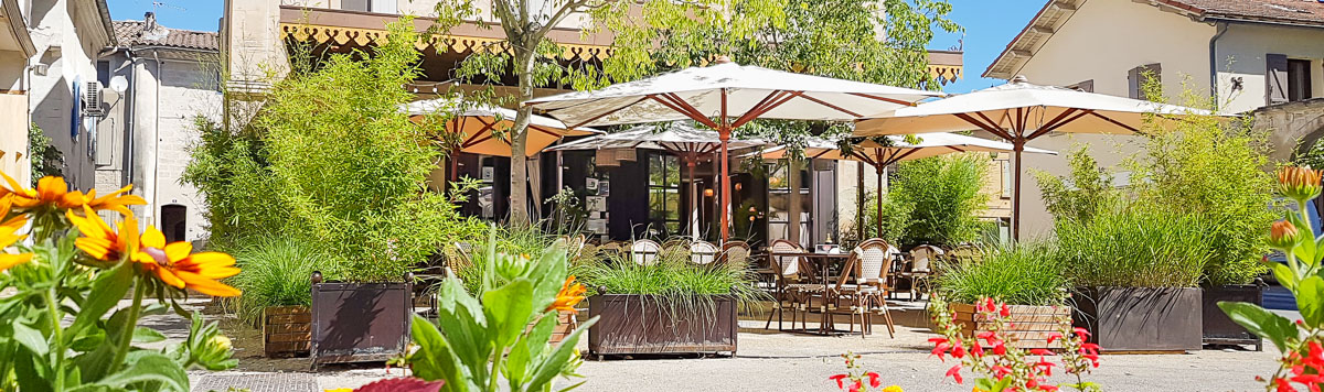 Restaurant avec terrasse vegetalisée à Maillane - Le Café du Soleil