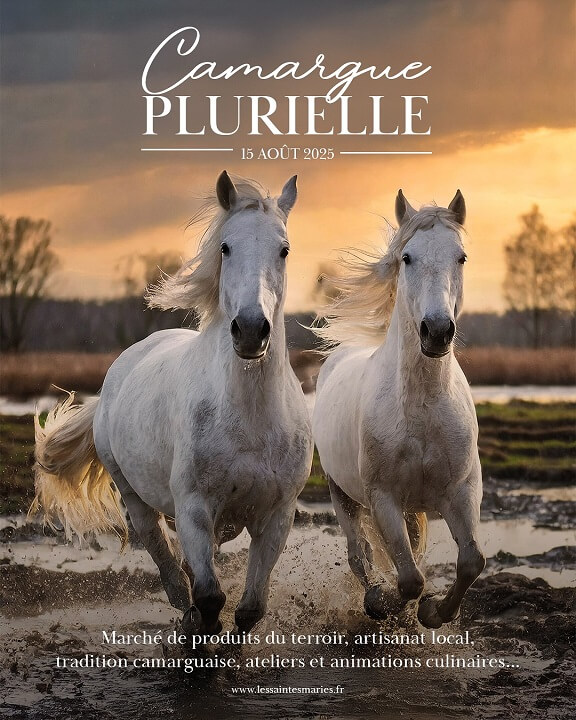 plan Eté Indien(s) 2019 à Arles