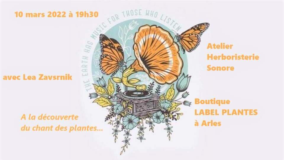 Atelier herboristerie sonore chez Label Plantes à Arles