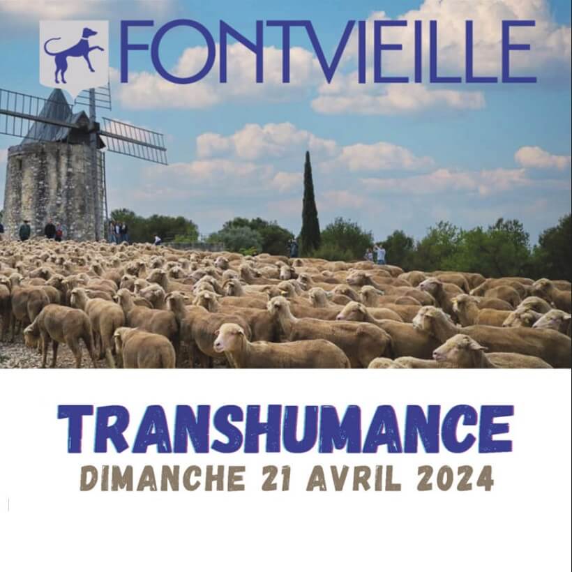 Fête de la Transhumance 2024 à Fontvieille