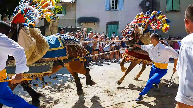 Fête de la Saint Eloi à Maillane et Carreto Ramado