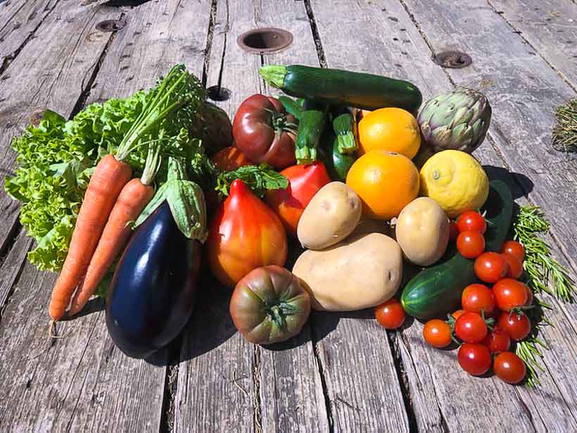 Producteur fruits et légumes bio à Arles - La Boite à Herbes