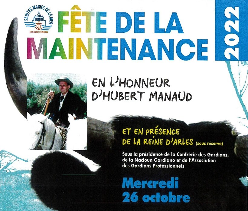 Fête de la Maintenance 2022 aux Saintes Maries de la Mer en Camargue - Gardians, concours de ferrades