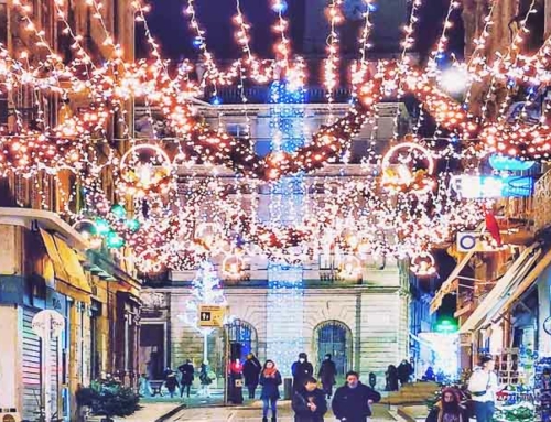 Fêtes de Noël 2025 Alpilles et Camargue – Le programme