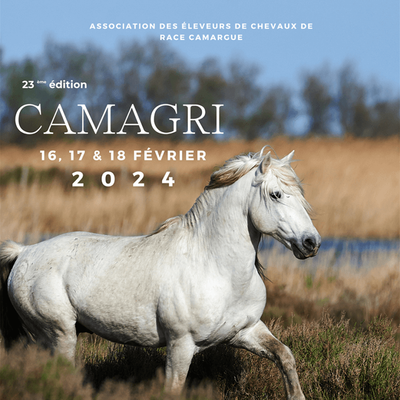 Camagri 2024, le salon du cheval Camargue aux saintes Maries de la Mer