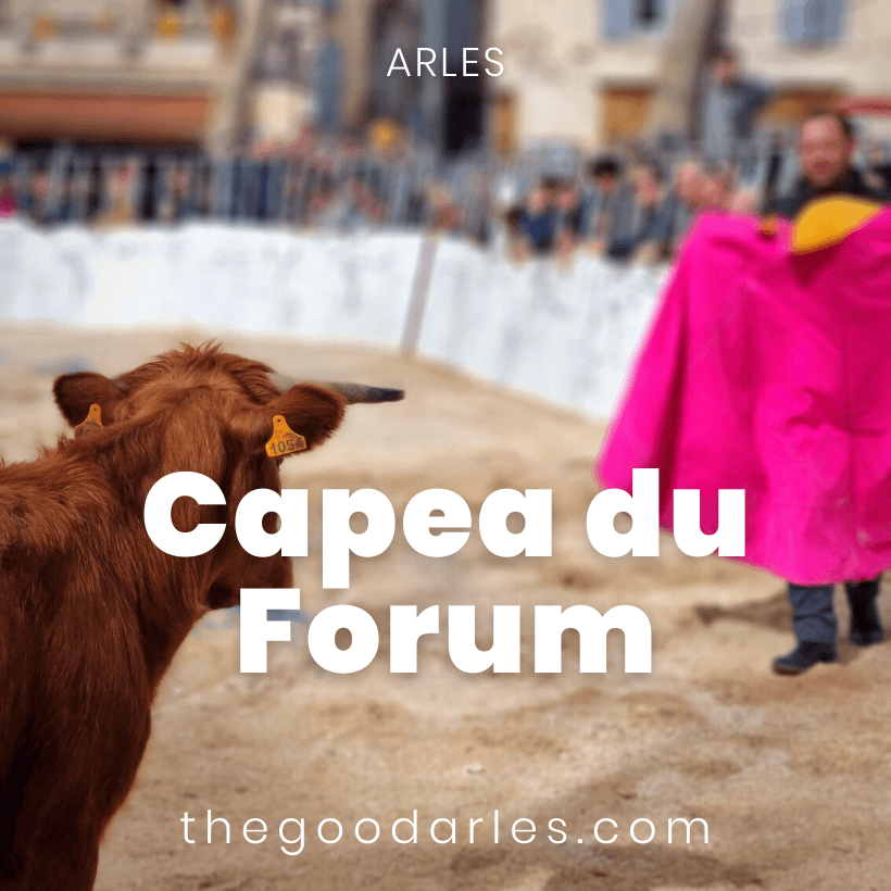 Capea du Forum 2024 à Arles