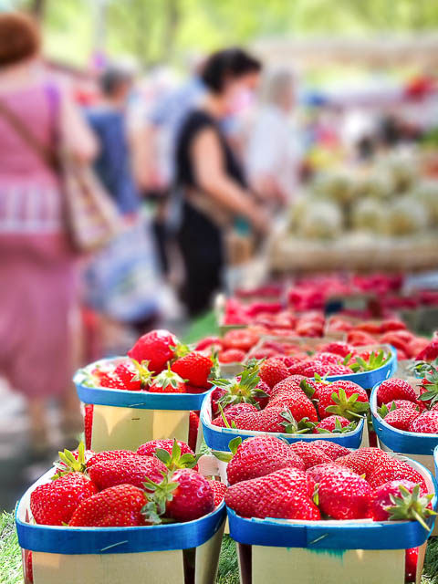 Fraises de pays sur le marché d'Arles du samedi matin