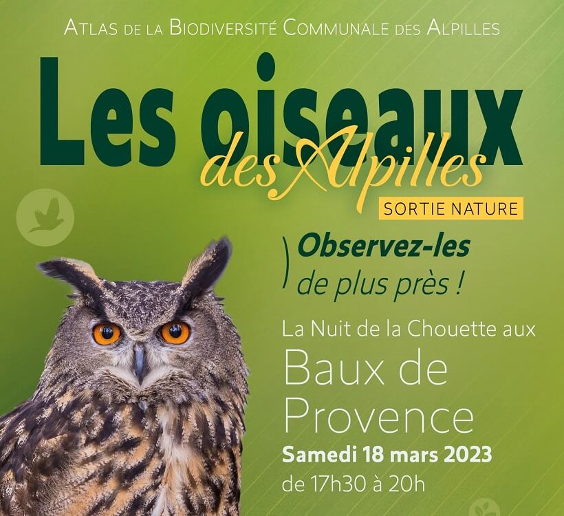 ABC du Parc des Alpilles - La Nuit de la Chouette 2023 aux baux de Provence