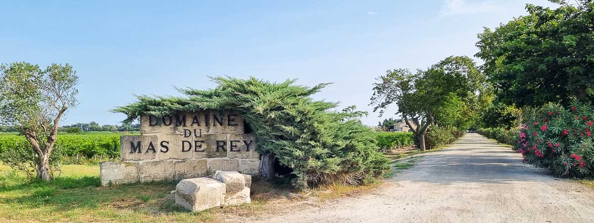 Vigneron en Camargue - Vins de cépage - Domaine viticole Mas de Rey