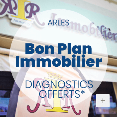 Immobilier à Arles et en Camargue : découvrez l'agence Immobilière du Roy René