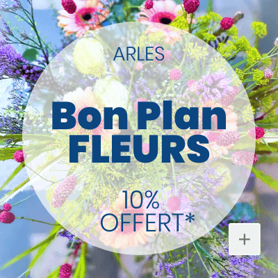 Bon Plan Emilie Fleuristerie, artisan-fleuriste à Arles - Camargue