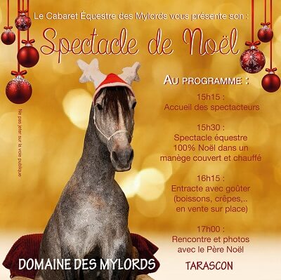 Cabaret equestre de Spectacle de Noël 2023 au cabaret Equestre des Mylords entre Arles et Tarascon