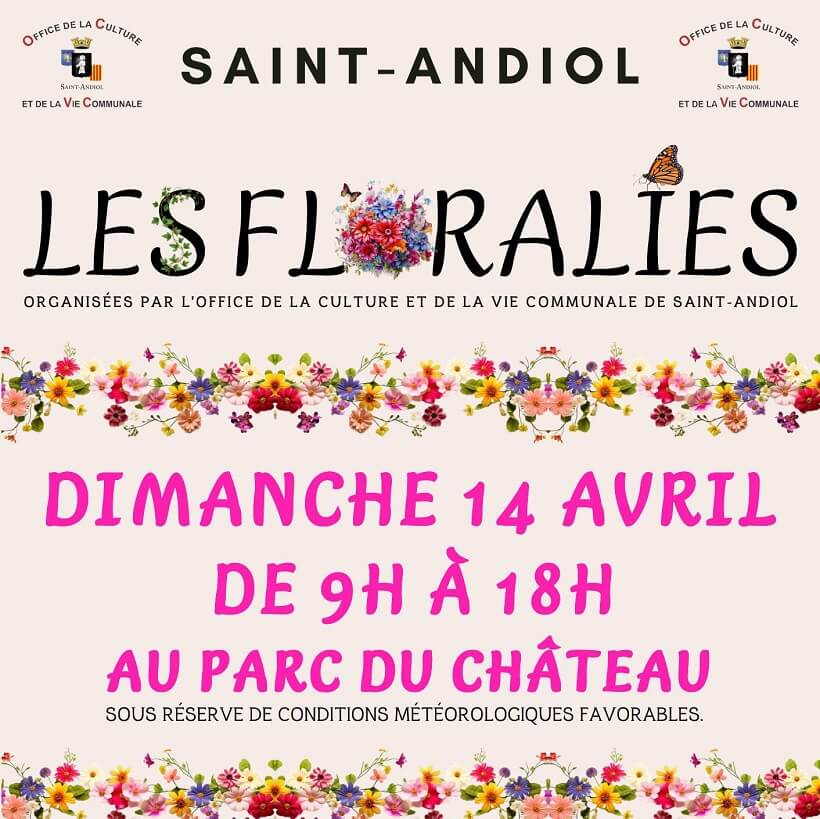Marché aux fleurs et aux plantes Les Floralies 2024 à Saint Andiol 13